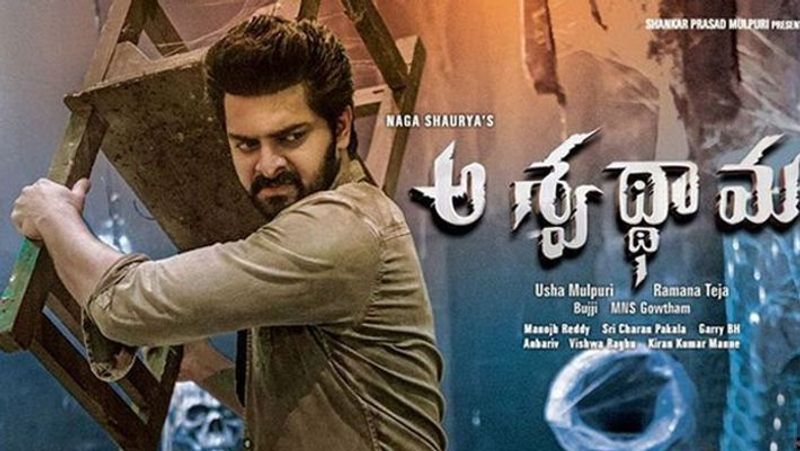NagaShourya sensational comments on Chalo director Venky Kudumula