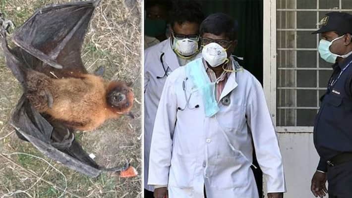 rearmouse killed in awe of coronavirus KPU rearmouse killed in awe of coronavirus KPU