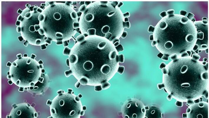 Coronavirus Outbreak in kerala: TDP leader kommareddy pattabhiram Coronavirus Outbreak in kerala: TDP leader kommareddy pattabhiram