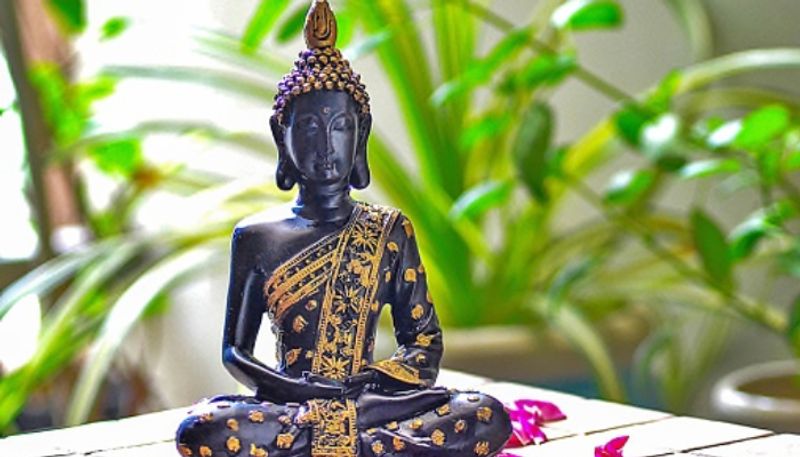 এই দিবসটি বিশ্বজুড়ে বৌদ্ধ ধর্মাবলম্বীরা আনন্দের সঙ্গে উদযাপন করেন। বৌদ্ধধর্মাবলম্বীরা একত্র হয়ে মন্ত্র জপ, ধ্যান, মন্দিরে প্রার্থনা করেন এবং দুঃস্থদের দান করেন। এই শুভ দিনটি বুদ্ধ দিবস, বুদ্ধ পূর্ণিমা বা বুদ্ধ জয়ন্তী নামেও পরিচিত। কিছু লোক আরও বিশ্বাস করেন যে এই দিনে ভগবান গৌতম বুদ্ধ বৌদ্ধ গয়াতে মহাবোধি গাছের নীচে নির্বাণ লাভ করেছিলেন। বৌদ্ধ জয়ন্তী উপলক্ষে, জীবনের ইতিবাচক দৃষ্টিভঙ্গির জন্য গৌতম বুদ্ধের কিছু উদ্ধৃতি যা প্রতিটি মানুষের জানা উচিত-