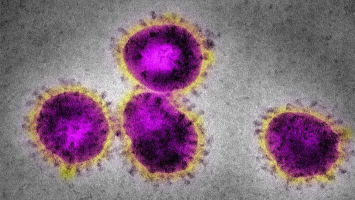 In China, Baby Tests Positive For Coronavirus Just 30 Hours After Birth In China, Baby Tests Positive For Coronavirus Just 30 Hours After Birth
