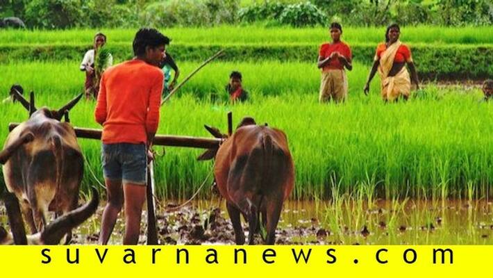 andra pradesh chief minister jegan mohan ready announce eb announcement andra pradesh chief minister jegan mohan ready announce eb announcement