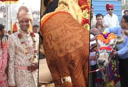 Groom arrives with mehndi on hands to support CAA, cows join in as 'baraatis' for wedding