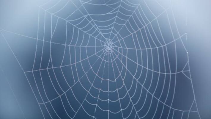 Spider web bring bad luck in home according to Vastu Spider web bring bad luck in home according to Vastu