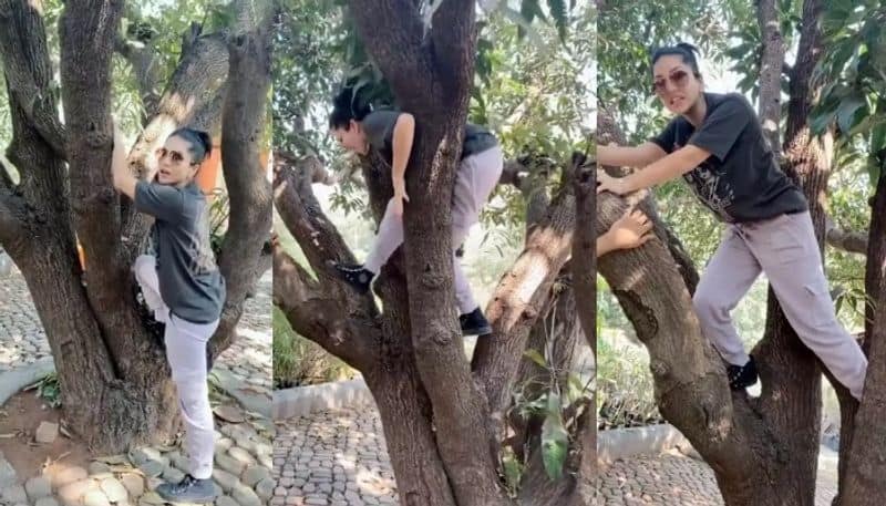 sunny leone shares video of herself climbing tree