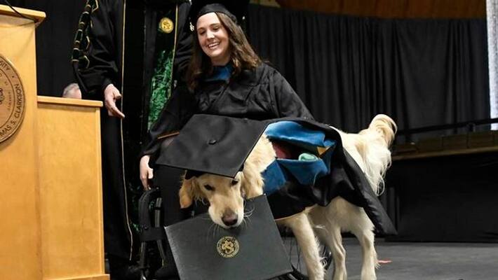 Amazing, in America the university gave graduation degree to a dog along with lady MJA Amazing, in America the university gave graduation degree to a dog along with lady MJA