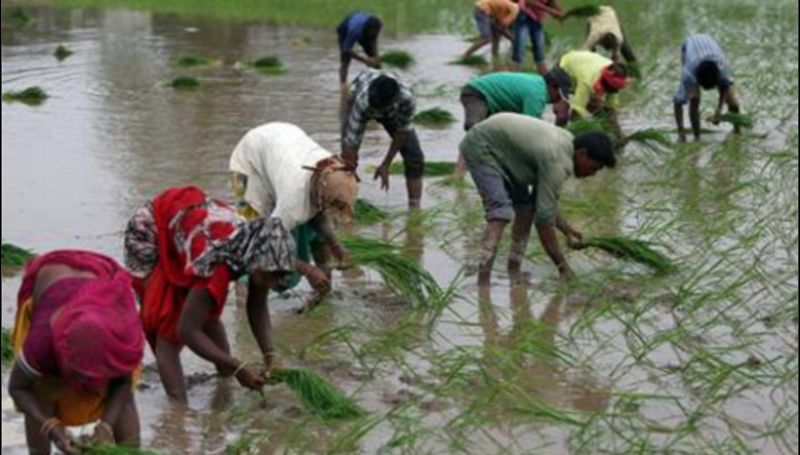 PM Kisan Mandhan Yojana How Farmers Can Get monthly pension through This Government Scheme