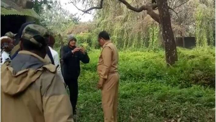 Local people in Durgapur mistake fishing cat as tiger Local people in Durgapur mistake fishing cat as tiger