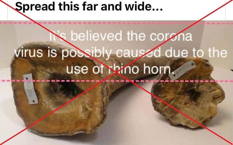 truth behind the meme of Coronavirus  emerged from rhino horn