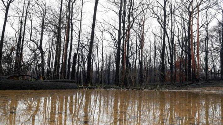 Storms batter drought ravaged New South Wales and Queensland in Australia Storms batter drought ravaged New South Wales and Queensland in Australia