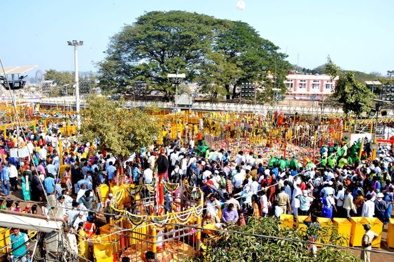 sammakka sarakka jatara: saralamma reaches medaram from kannepalli
