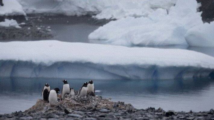 Antarctica just registered its hottest temperature ever Antarctica just registered its hottest temperature ever