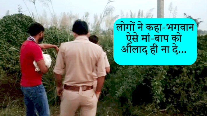 punjab news mother threw the newborn baby in the bushes kpr punjab news mother threw the newborn baby in the bushes kpr