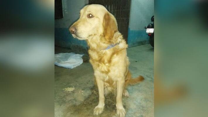 1 arrsted due to charge of Murder at Uluberia in Kolkata 1 arrsted due to charge of Murder at Uluberia in Kolkata