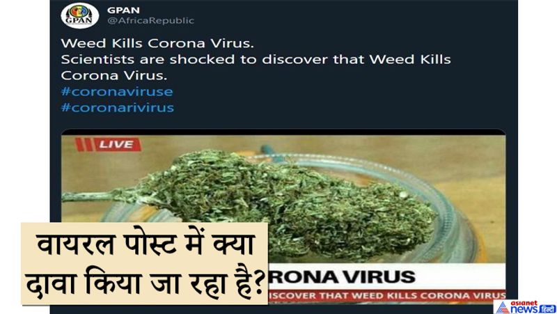 पिछले कुछ हफ्तों से व्हाट्सएप पर ये खबर तेजी से वायरल की जा रही है। अब फिल्म मेकर विवेक अग्निहोत्री ने इसे ट्विटर पर साझा किया, जिसमें उन्होंने लिखा कि, विज्ञान के क्षेत्र में नई खोज हुई है। फिल्म मेकर ने कोरोना वायरस के भांग से इलाज की खबर शेयर करते हुए अग्निहोत्री ने भांग की बिक्री को वैध बनाने की अपील की। उन्होंने इसे 'मैजिकल पौधा' कहा।