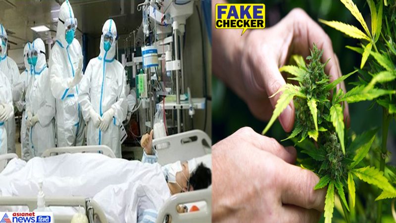 सोशल मीडिया पर एक न्यूज क्लिप की इमेज वायरल हो रही है। इस न्यूज में भांग को कोरोना के इलाज के लिए रामबाण बताय़ा जा रहा है। इससे पहले सोशल मीडिया पर लहसुन को पानी में उबालकर पीने से भी कोरोना में राहत मिलने की बात कही गई थी। हालांकि वो दावा पूरी तरह फेक निकला। अब देखते हैं कि भांग के इस दावे में कितना दम है?