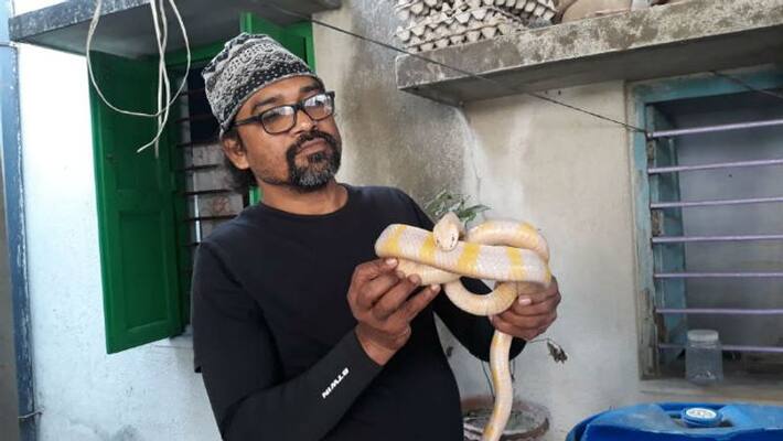Rare snake recovered from Bandel in Hooghly Rare snake recovered from Bandel in Hooghly