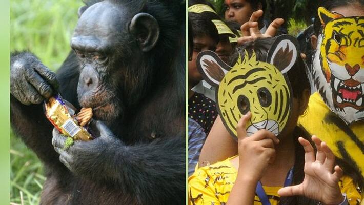 Coronavirus outbreak Kolkata Zoo took special vigilance on foreigners Coronavirus outbreak Kolkata Zoo took special vigilance on foreigners