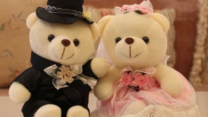 Valentine's Day: festival of love is being celebrated today with teddy bear, know how it started MJA Valentine's Day: festival of love is being celebrated today with teddy bear, know how it started MJA