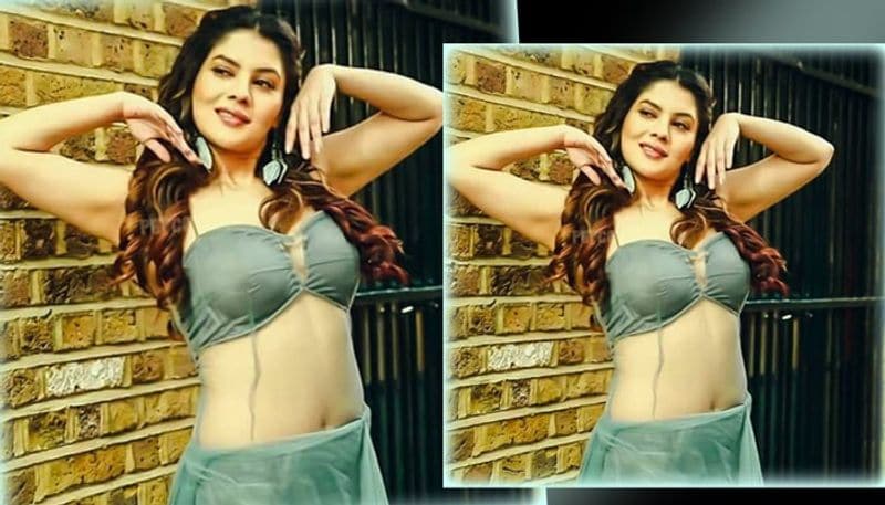 বিকিনি লুকে বোল্ড অবতারে সোশ্যাল মিডিয়ায় একের পর এক ছবি শেয়ার করেও লাইমলাইটে থাকেন অভিনেত্রী।