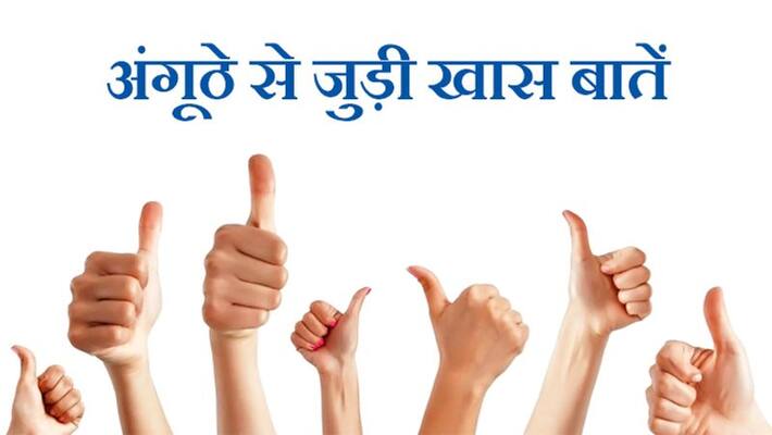 Palmistry: One can know the nature and future of a person by the size, shape and mark of the thumb KPI Palmistry: One can know the nature and future of a person by the size, shape and mark of the thumb KPI