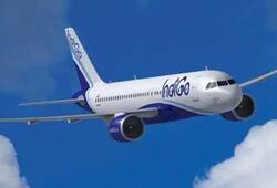 As part of Vande Bharat Mission, IndiGo flies over 75,000 passengers from Middle Eastern countries