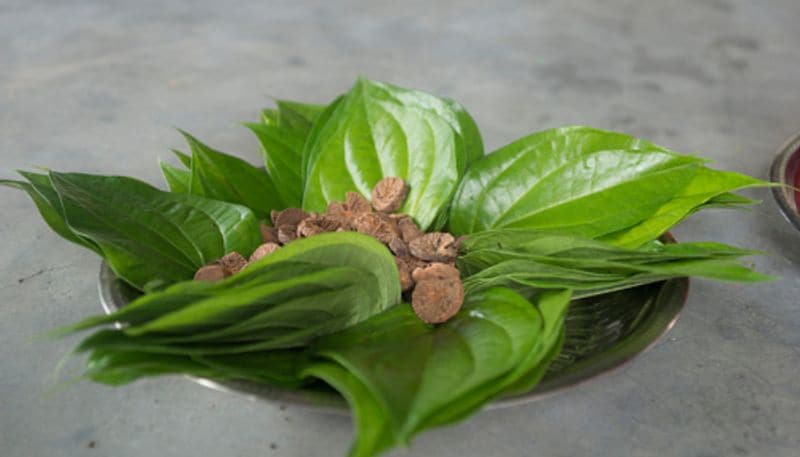 Betel  Leaves can be used to bring positive energy best in astrology tips