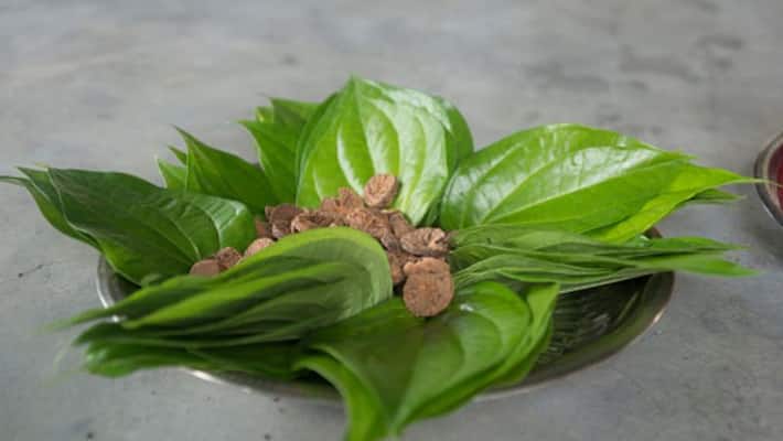 Bengali's every rituals incomplete without betel leaves know the importance of its according to Puran Bengali's every rituals incomplete without betel leaves know the importance of its according to Puran