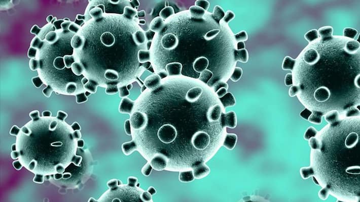 monkey virus fever sprading in karnataka monkey virus fever sprading in karnataka
