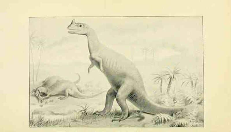 The evolution of dinosaur in history