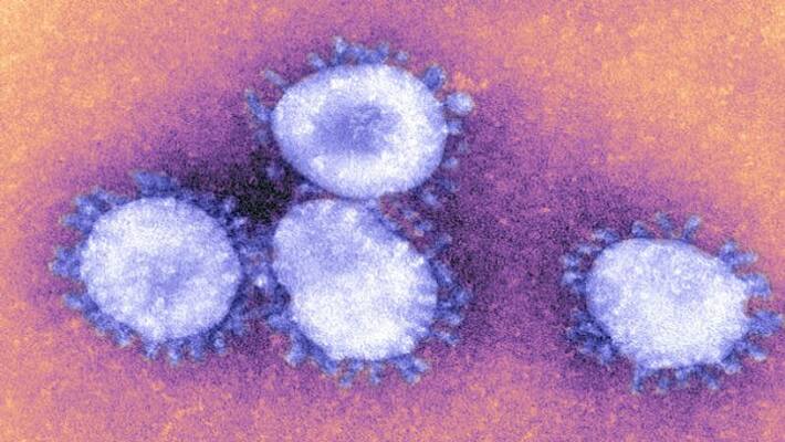 Man commits suicide in Andhra Pradesh from fear of Coronavirus infection Man commits suicide in Andhra Pradesh from fear of Coronavirus infection