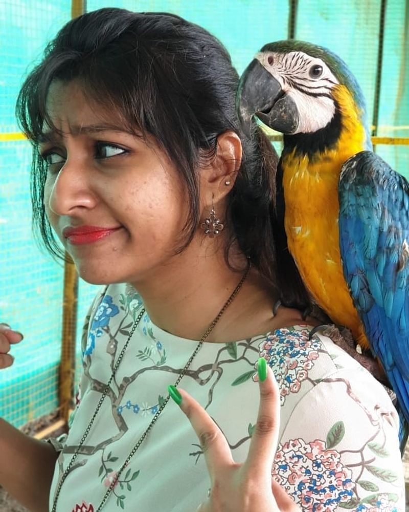 செல்ல கிண்டல்