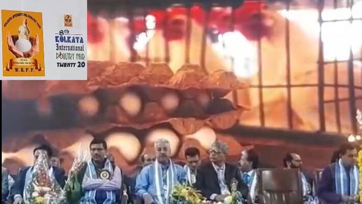 State govt takes initiative to betterment of Poultry in west bengal State govt takes initiative to betterment of Poultry in west bengal