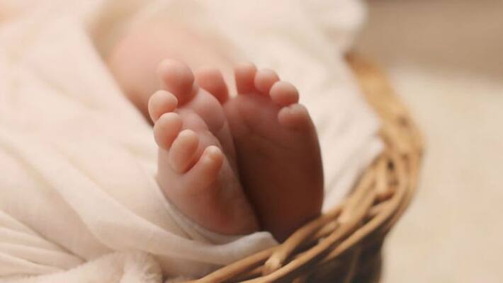 Woman Gives Birth To 6 Children In Madhya Pradesh Woman Gives Birth To 6 Children In Madhya Pradesh
