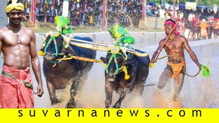 Buffalo jockey who runs faster than Usain Bolt in kambala race Acted in Bahubali 2 Buffalo jockey who runs faster than Usain Bolt in kambala race Acted in Bahubali 2