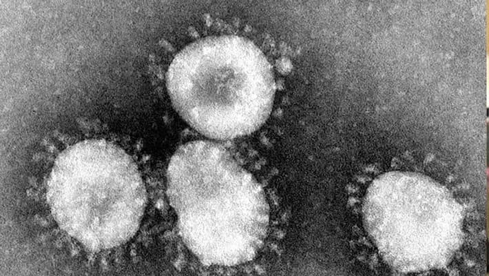 17 members affected by corona virus in india 17 members affected by corona virus in india