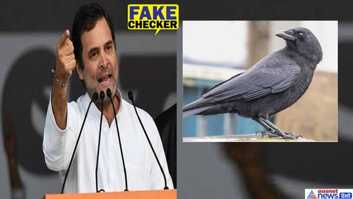 rahul gandhi doesn't said pm modi unemployment of eagles it is edited video kpt rahul gandhi doesn't said pm modi unemployment of eagles it is edited video kpt