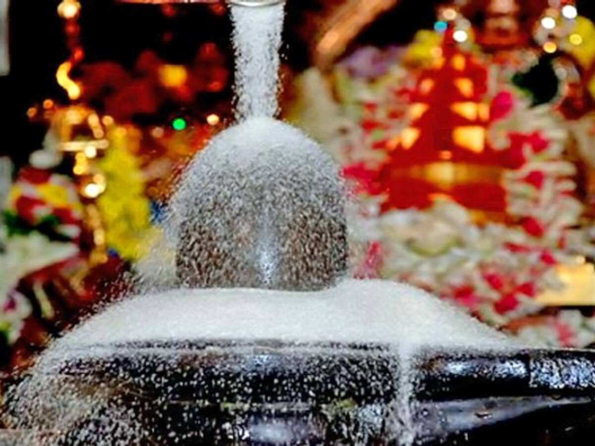 महाशिवरात्रि: भगवान शिव को चावल चढ़ाने से होता है धन लाभ, शिवपुराण में लिखे  हैं ऐसे ही आसान उपाय | Mahashivratri: Offering rice to lord shiva may gain  you monitory benefits, know