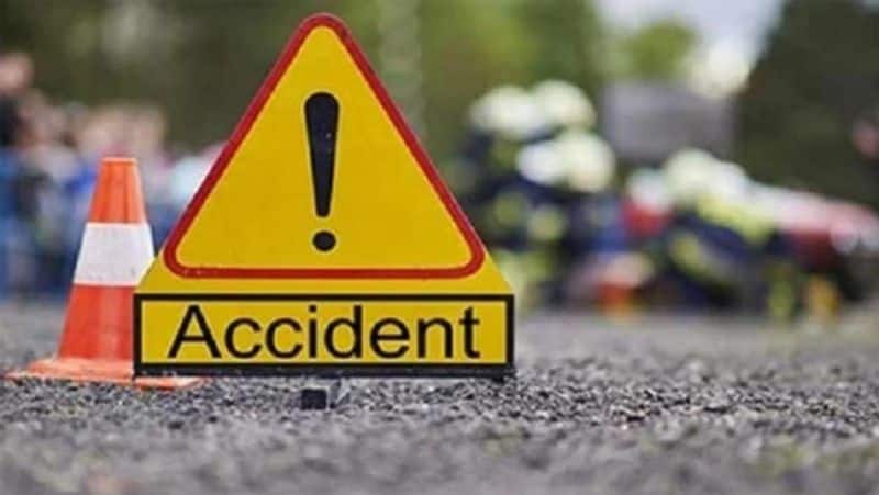 3 deers killed in an accident