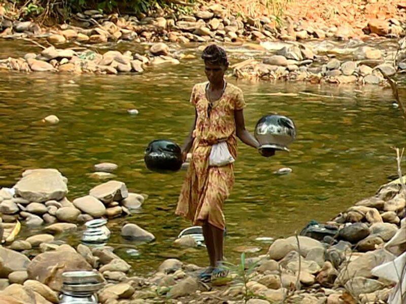 Adivasi families inside aralam farm shift to river banks as water scarcity intensifies
