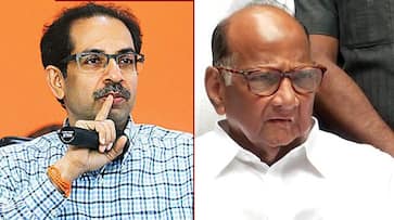 Split wide open! Sharad Pawar unhappy with Uddhav Thackeray saying yes to NIA probing Elgar case