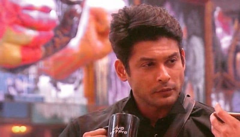 এরপর প্রথম টেলিভিশনে তাঁর মুখ দেখা যায় ফেয়ার এন্ড লাভলি-এর এক বিজ্ঞাপনে। এর থেকেই শুরু হয় ধারাবাহিকের কাজ। তাঁর অভিনীত প্রথম ধারাবাহিক "বাবুল কা আঙ্গণ ছুটে না"। সেখানে শুভ রানাওয়াত নামক চরিত্রে অভিনয় করে দর্শকের মন জয় করে নেন।