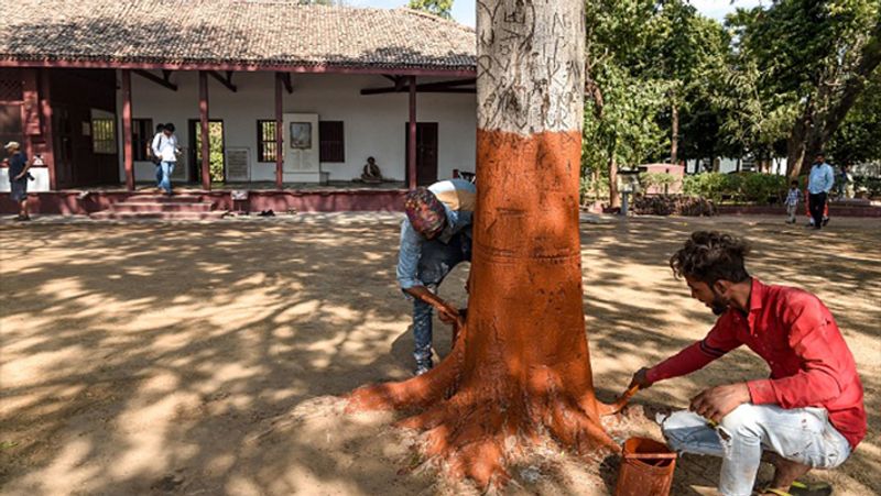 150 मिनट का दौरा, 25 हजार जवान तैनातः ट्रम्प का अहमदाबाद दौरा करीब 150 मिनट का होगा। इस दौरान सुरक्षा के कड़े इंतजाम किए गए हैं। ट्रंप के सुरक्षा कवच में 65 एडिशनल पुलिस कमिश्नर, 200 इंस्पेक्टर, 800 सब-इंस्पेक्टर सहित 25 हजार जवान तैनात रहेंगे। गौरतलब है कि इससे पहले चीन के राष्ट्रपति शी जिनपिंग, जापान के प्रधानमंत्री शिंजो आबे और इजरायल के प्रधानमंत्री बेंजामिन नेतन्याहू जब अहमदाबाद के दौरे पर थे, उस दौरान इतनी बड़ी सुरक्षा व्यवस्था का इंतजाम देखने को नहीं मिला था।