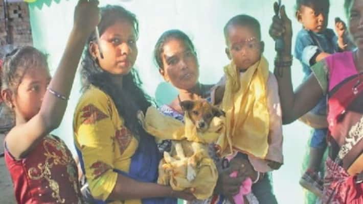 Shocking tradition of innocent children's dog marriage in Jharkhand kpa Shocking tradition of innocent children's dog marriage in Jharkhand kpa