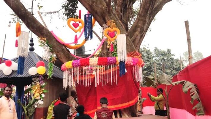 People arrange trees wedding in North Dinajpore People arrange trees wedding in North Dinajpore