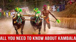 Karnataka's 'Usain Bolt' Srinivas Gowda's Feat Draws Focus On The Sport Of Kambala