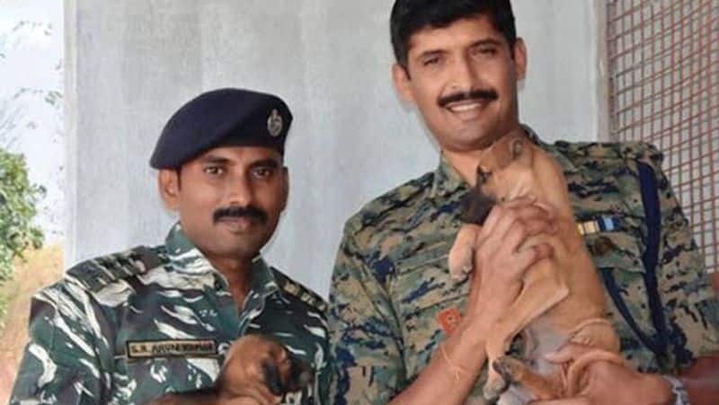 Tamil Nadu Combai Dog Joins CRPF
