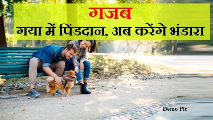 Couple from New Zealand comes to India for last rites of their dog kpm Couple from New Zealand comes to India for last rites of their dog kpm