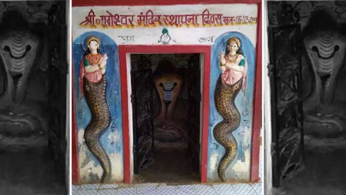 The story of Arang village in Chhattisgarh related to the mystery of snakes The story of Arang village in Chhattisgarh related to the mystery of snakes