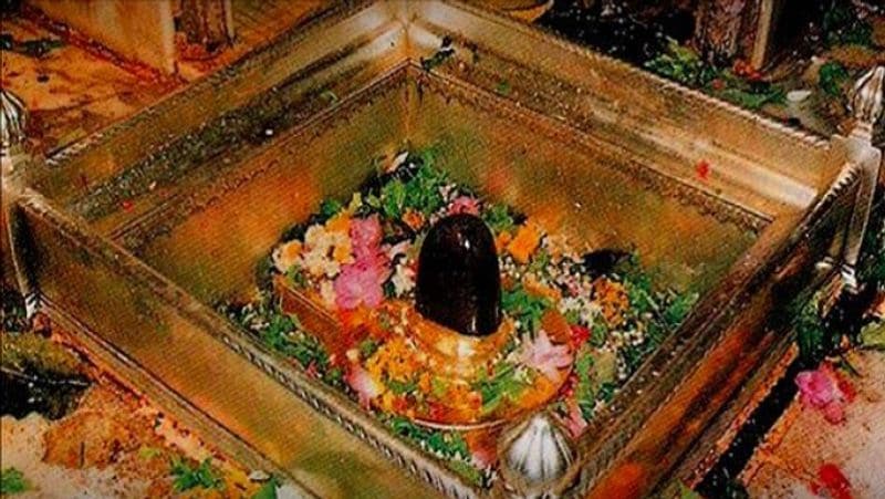 মহা শিবরাত্রির দিন পুজোর নিয়ম মেনে পুজো করা ভীষণ দরকার তা না হলে পুণার্জন হবে না।
